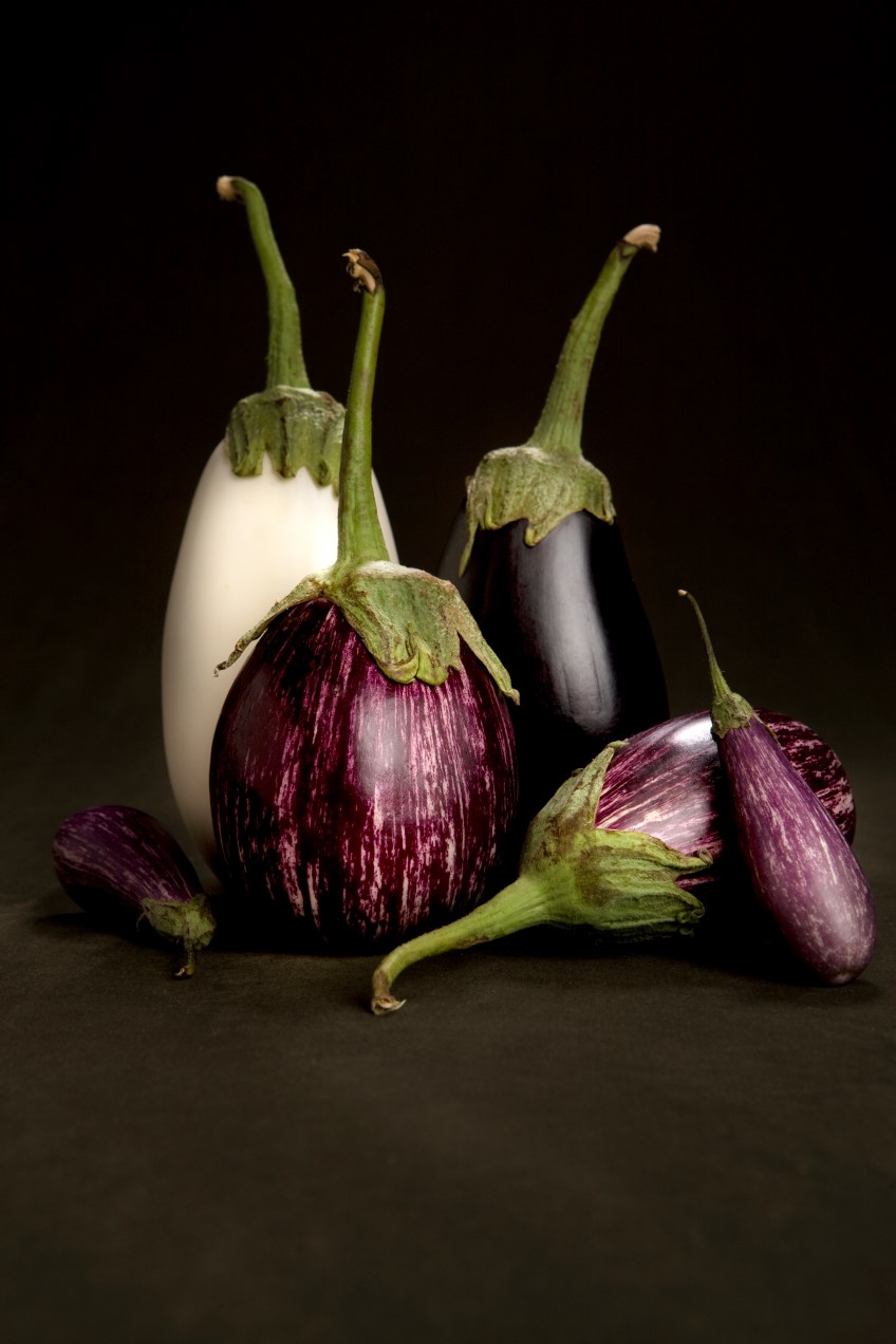 Eggplant