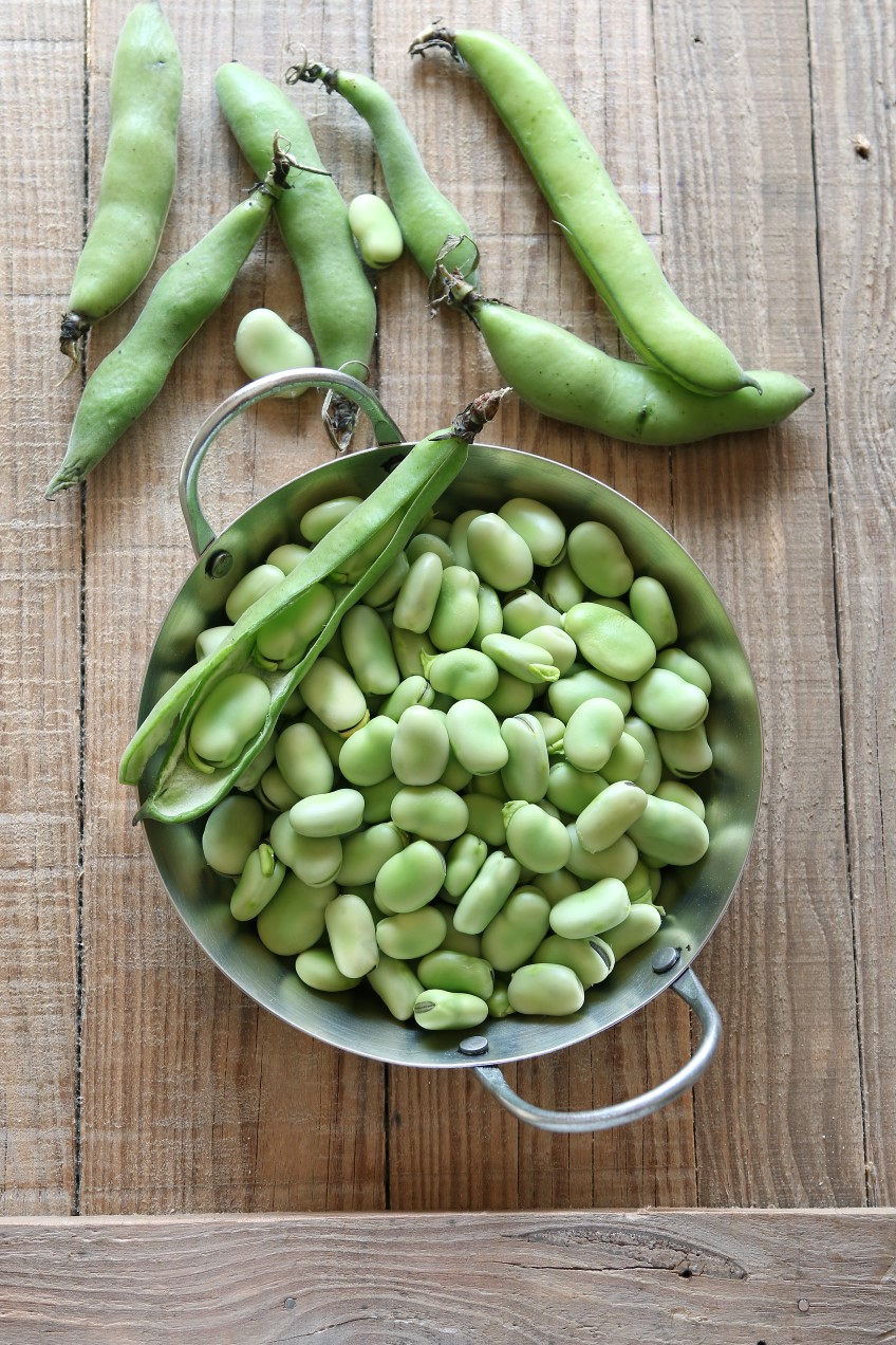 How to: cook with broad beans