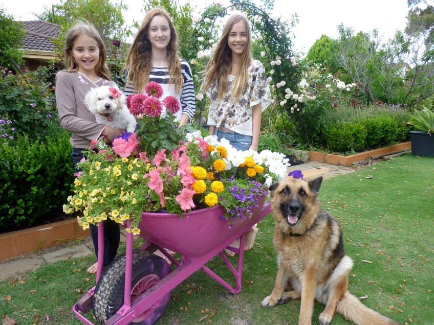How to: make a flowering barrow