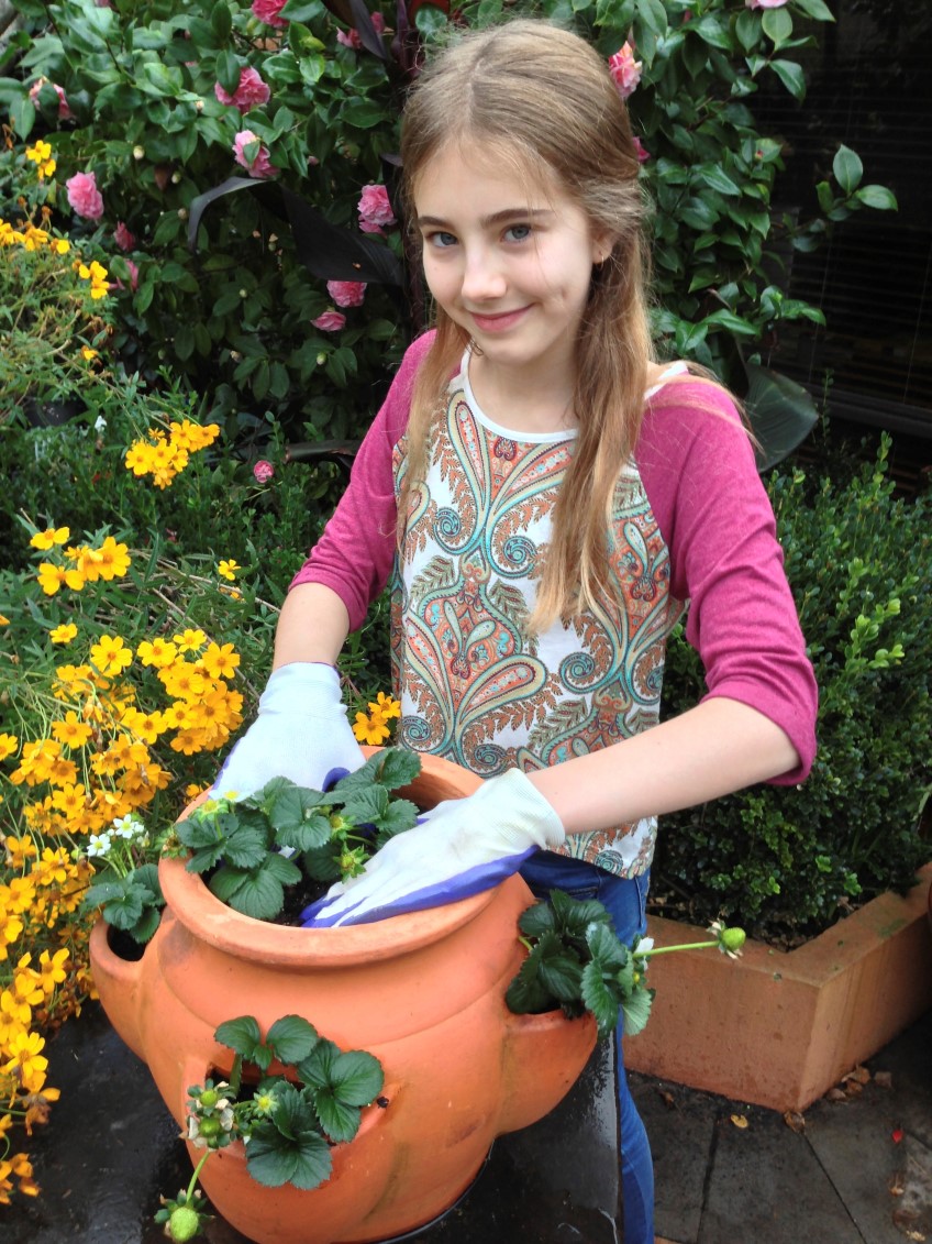 How to: make a strawberry pot