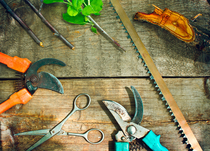 How to Sharpen Garden Shears