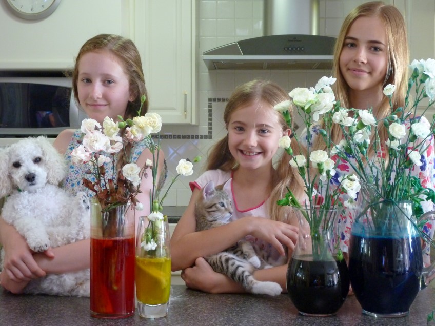 How to: colour flowers