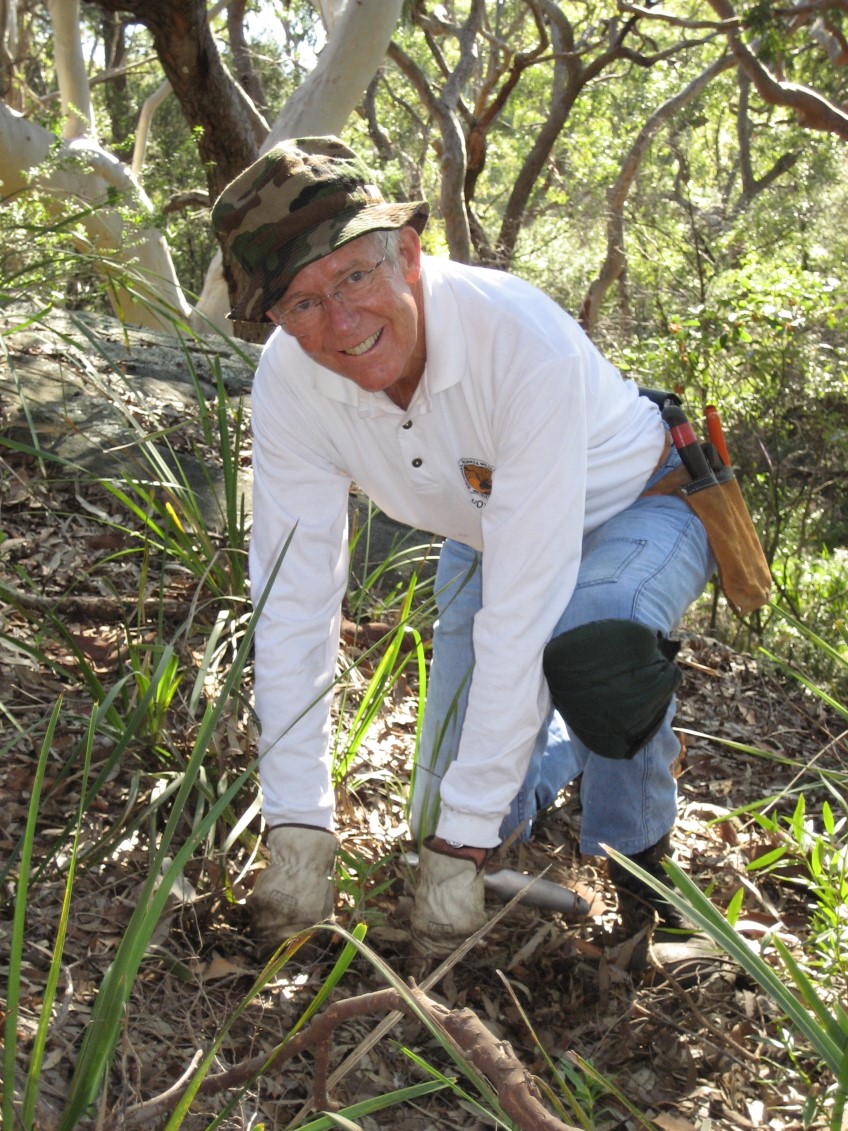 Meet: Geoffrey Head, Nielsen Park bush regenerator