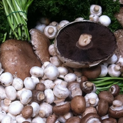 How to: grow mushrooms