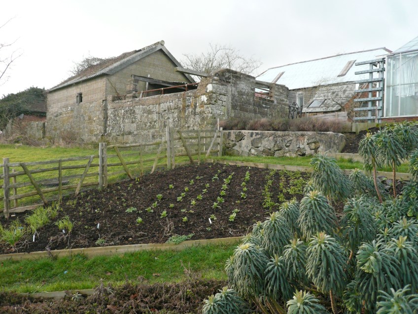 Perch Hill Farm