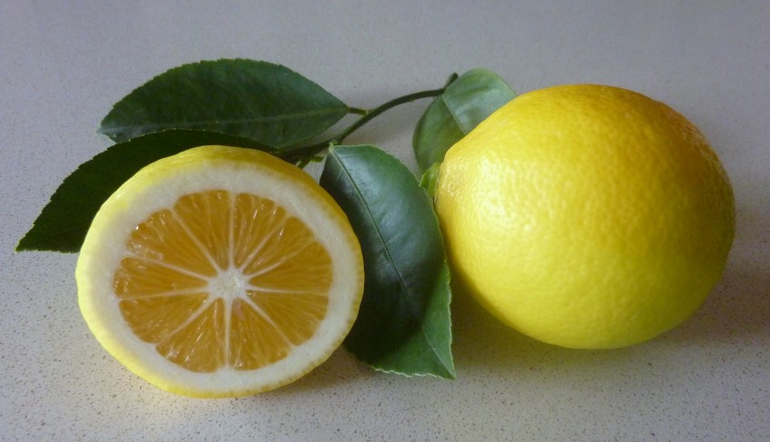 'Eureka' Seedless Lemon