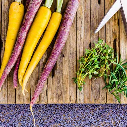 Delicious: Carrot, fennel and thyme salad