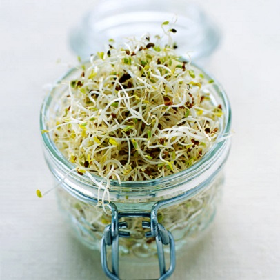 Sprouts