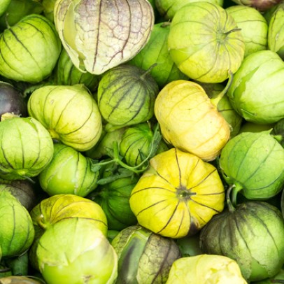 Tomatillo