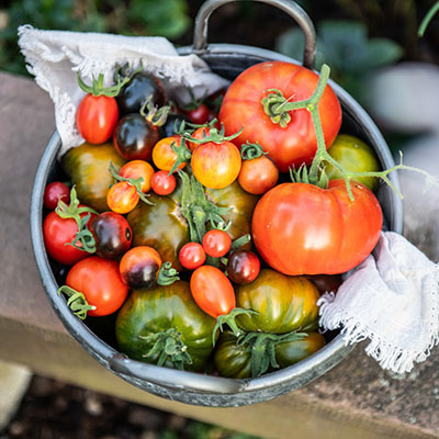 Plant your harvest now