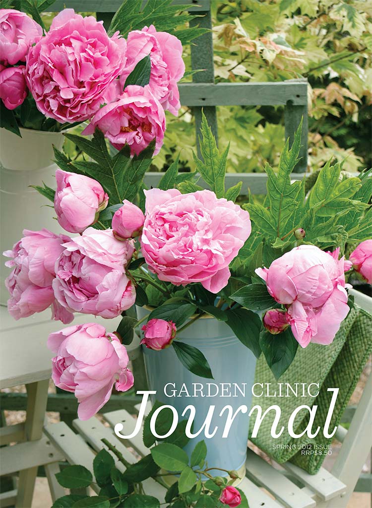 Spring 2012 Issue
