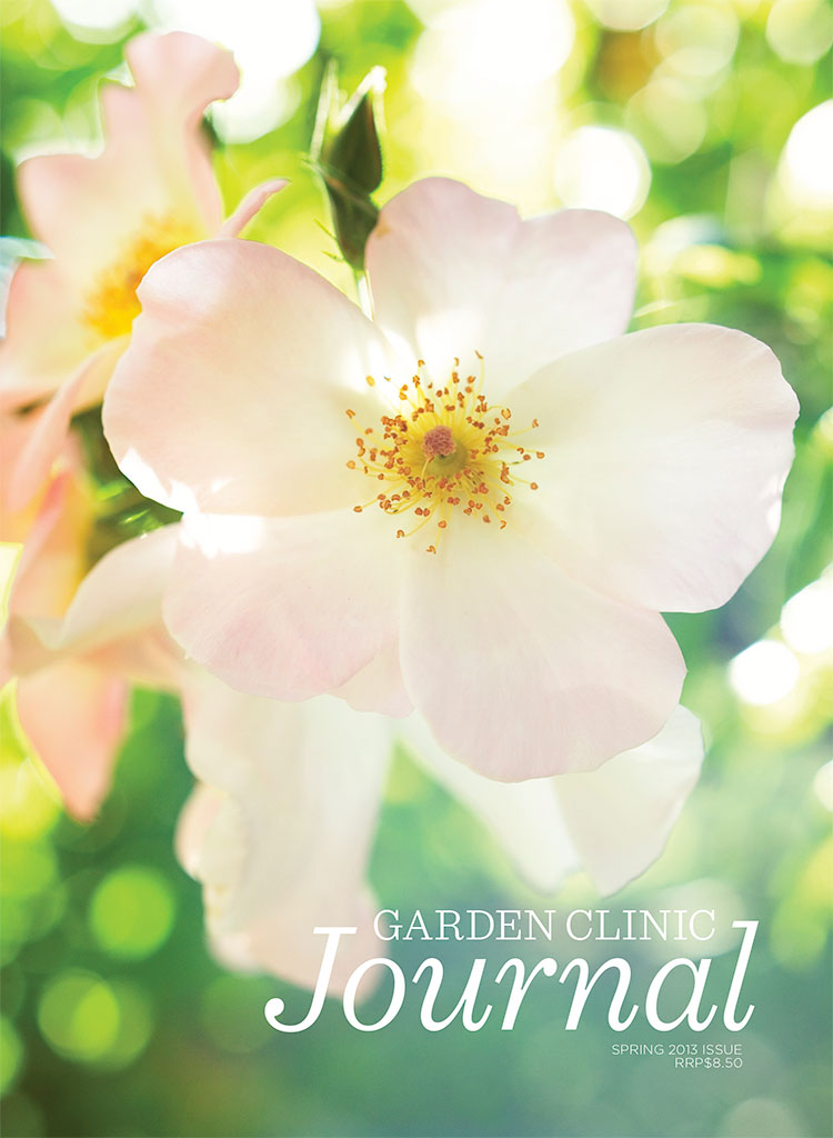 Spring 2013 Issue