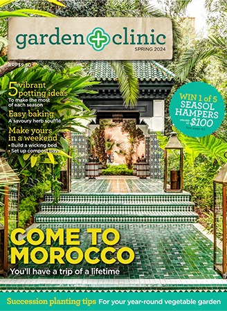 Spring 2024 Issue