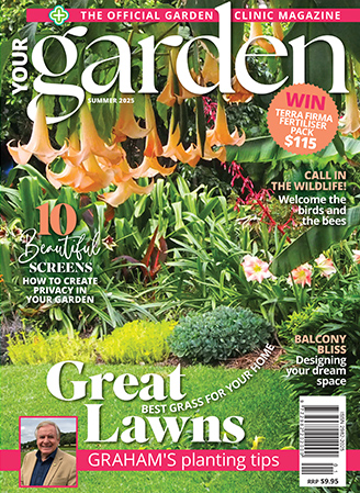 Summer 2025 Issue