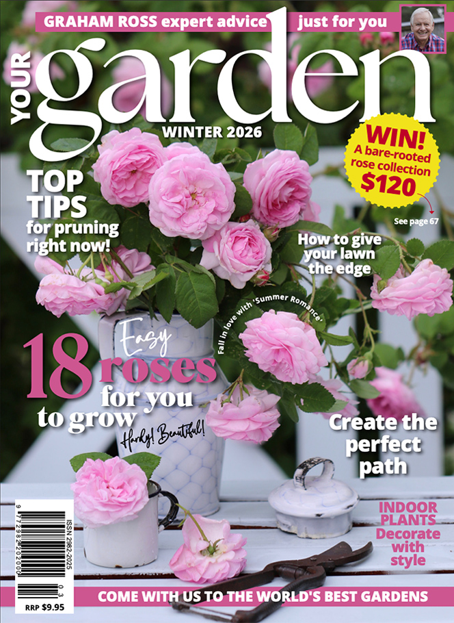 Winter 2026 Issue