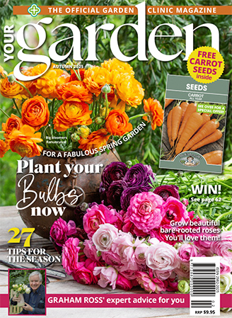 Autumn 2025 Issue