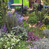 Graham Ross interviews Philip Withers at the 2015 Melbourne Flower Show