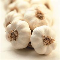 How to: grow garlic