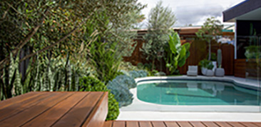 Perfect Planting for your pool