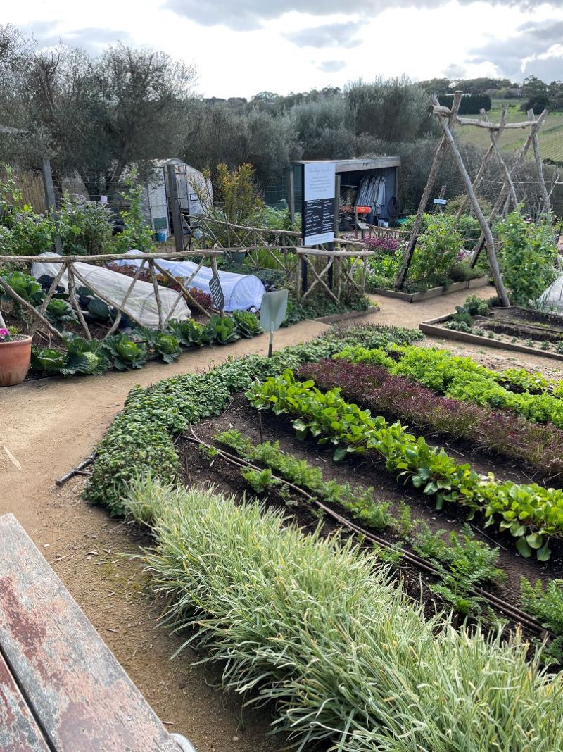 Stunning Off-Grid Apartment Renovation With Incorporating A Permaculture-Inspired Garden image