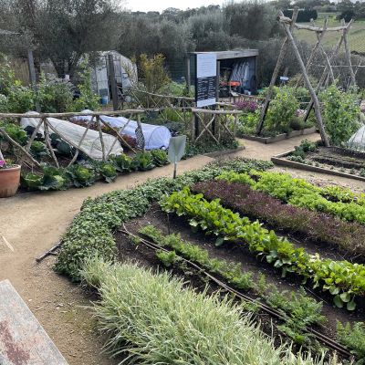 Permaculture on a plate