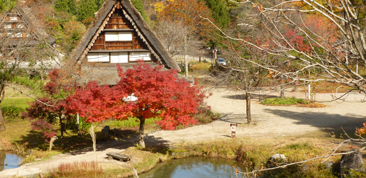 Japan in Autumn: Burnished Glory
