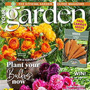 Your Garden - Autumn Edition
