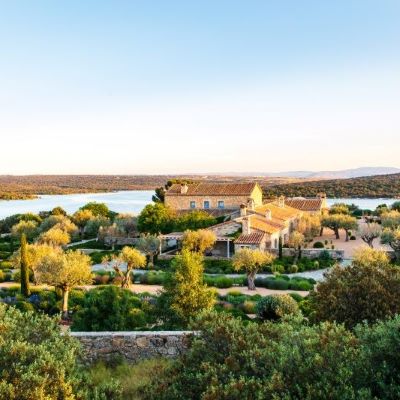 Visionary: Gardens and Landscapes for Our Future