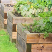 Wicking beds for vegetables