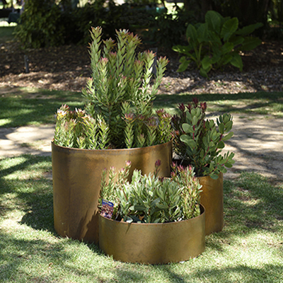 Great garden picks for you: Get the edge