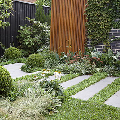 It's the perfect time to make a path