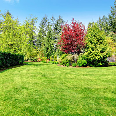 Get started on a new lawn