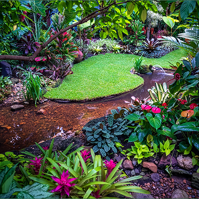 Create your own tropical retreat