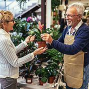 Shop well - your local garden centre