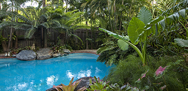 Perfect Planting for your pool