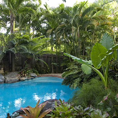 Poolside Styling: How to Decorate Your Pool Area with Summer-Perfect Plants