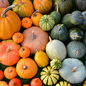 Perfect pumpkins