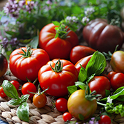 In the garden: September