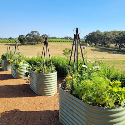 Wonderful Wicking Beds