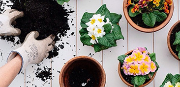 2025 Garden Classes & Workshops