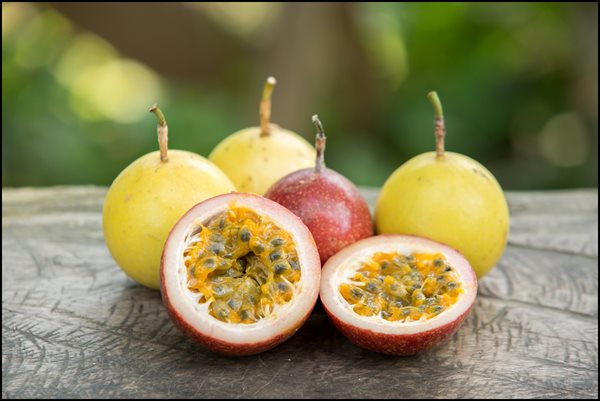 Passion-Fruit.jpg