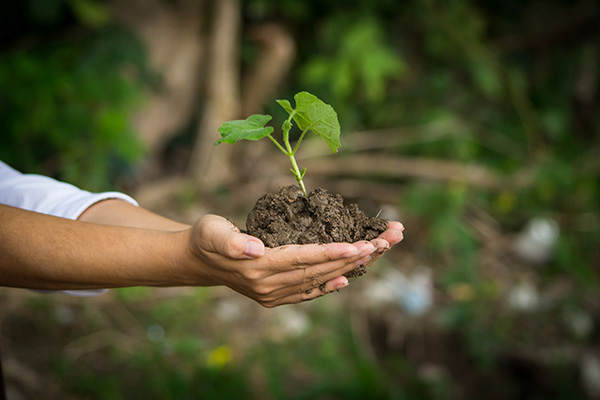 GC-Promotion_Popul8_600px-wide_shutterstock_650138716.jpg GC-Promotion_Popul8_600px-wide_shutterstock_650138716.jpg