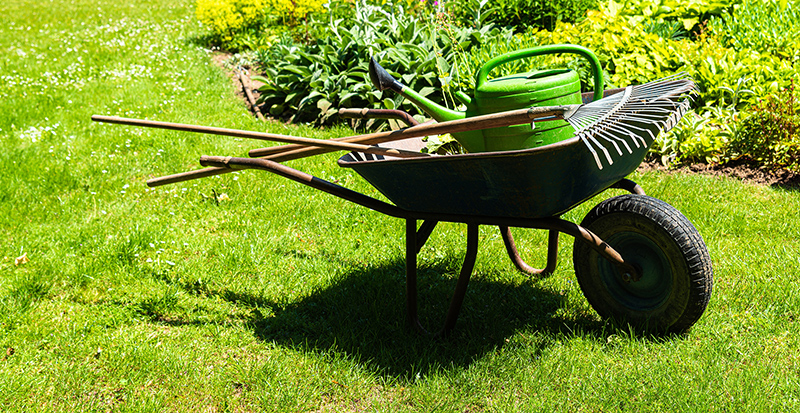 GCC-Promotion_Garden-Care-Pack_800px-wide_shutterstock_2264139193.jpg
