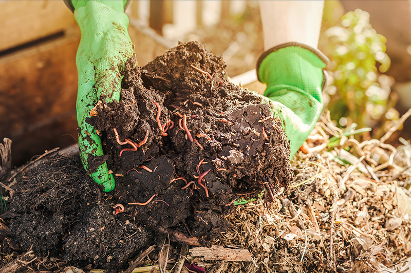 Hands-in-soil_worms_800px-wide_shutterstock_2335494451.jpg