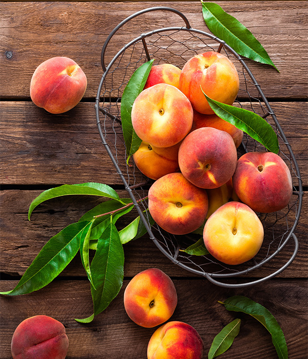 peaches_600px-wide.jpg peaches_600px-wide.jpg