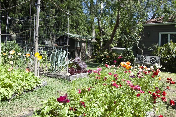 DSC_1290.jpg DSC_1290.jpg