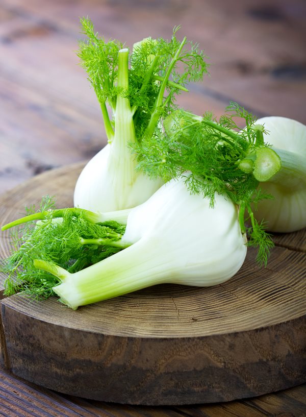 Fragrant Fennel