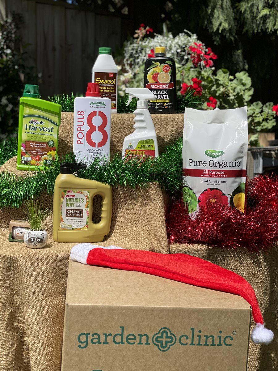 2021 Christmas Hamper