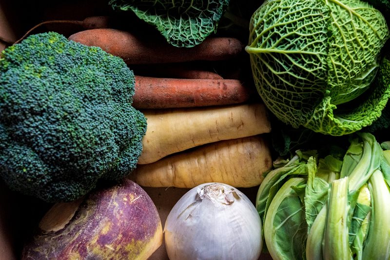 Growing Soup Vegetables