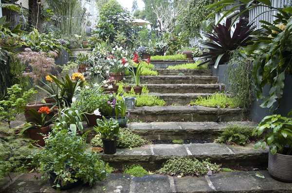 Our forever garden